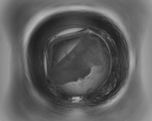 X0000116590050200912171601