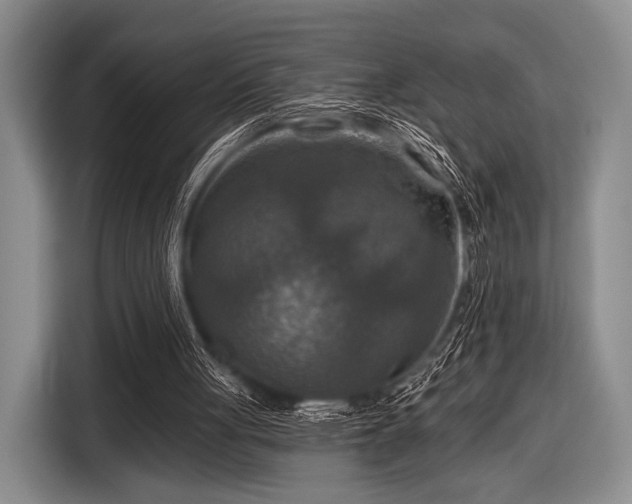 X0000116590051200912171601