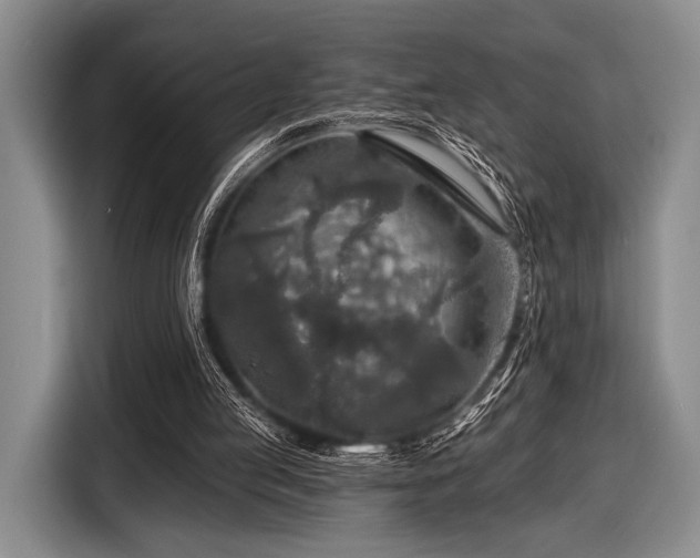 X0000116590053200912171601