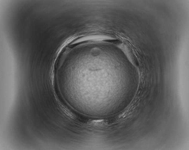 X0000116590054200912171601