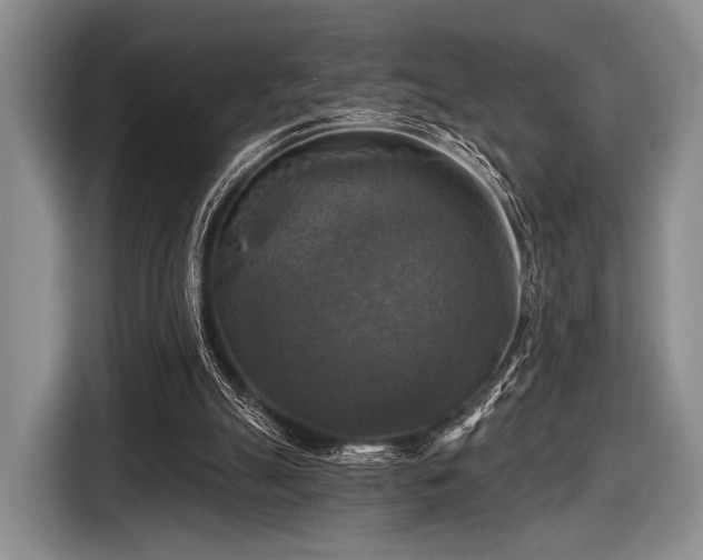 X0000116590055200912171601