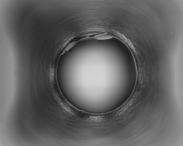 X0000116590057200912171601