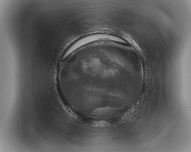 X0000116590058200912171601