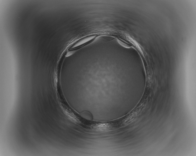 X0000116590059200912171601