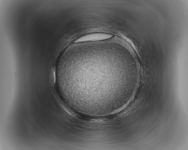 X0000116590061200912171602