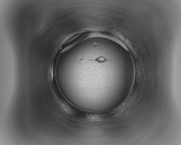 X0000116590062200912171602