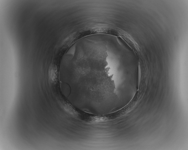 X0000116590073200912171602