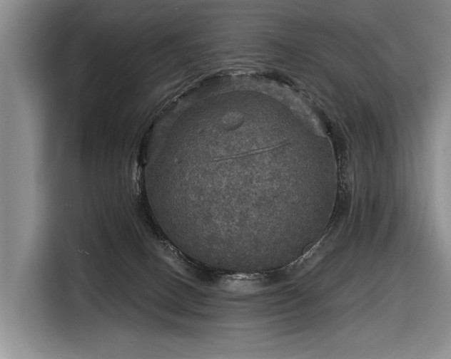 X0000116590082200912171602