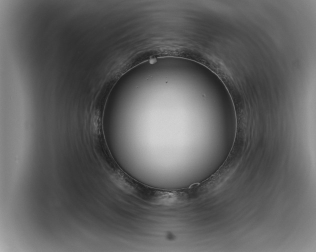 X0000116590083200912171602