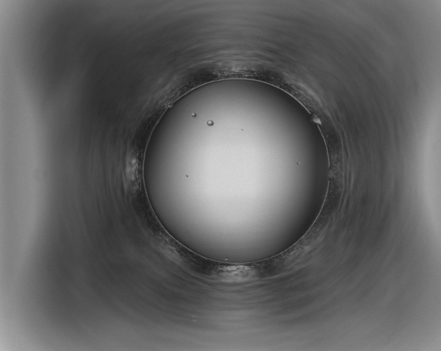 X0000116590087200912171602