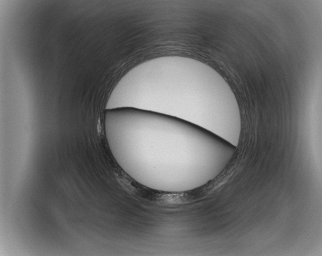 X0000116590089200912171602