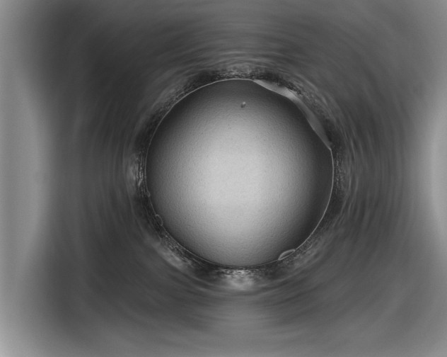 X0000116590091200912171602