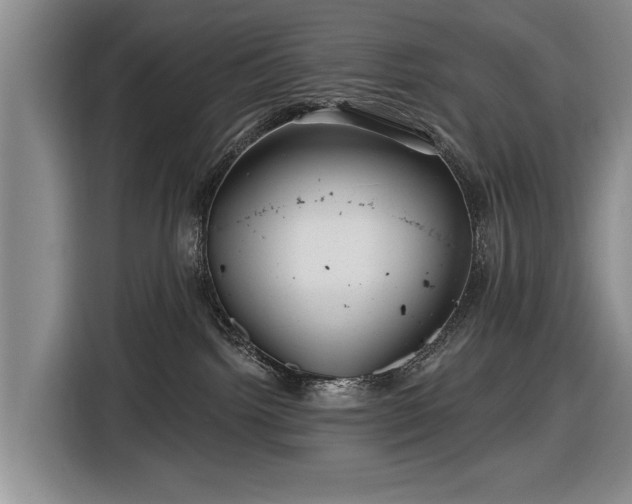 X0000116590092200912171602