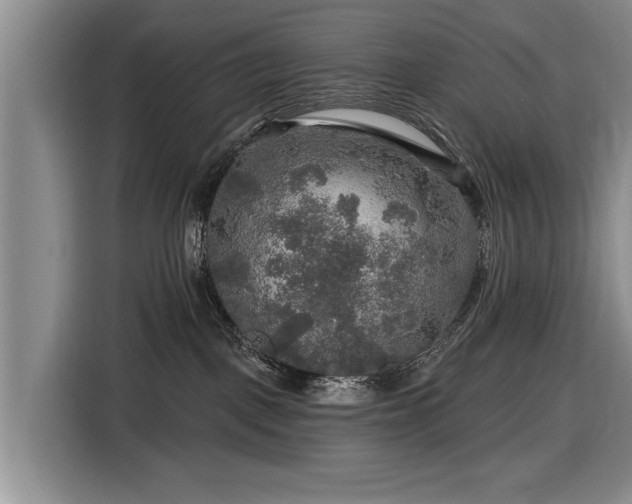 X0000116590093200912171602