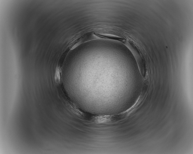 X0000116590094200912171602