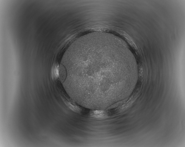 X0000116590095200912171602