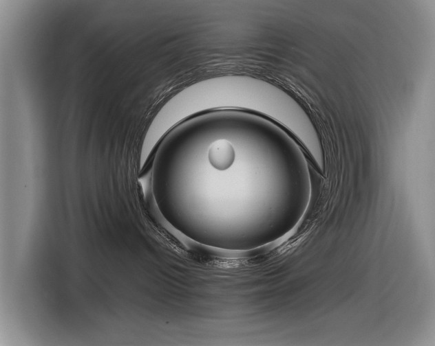 X0000116590096200912171602