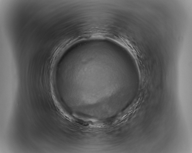 X0000116590097200912171601