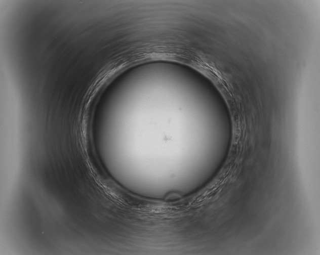 X0000116590098200912171601