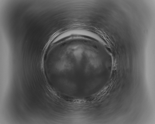 X0000116590099200912171601