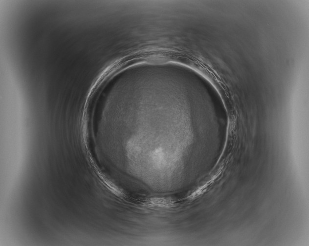 X0000116590101200912171601