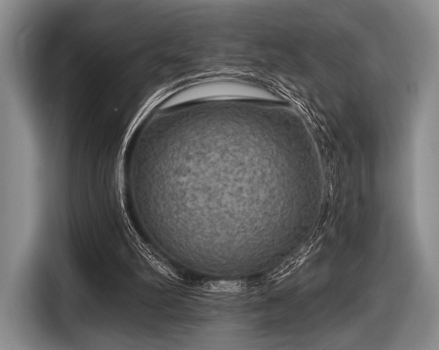 X0000116590102200912171601