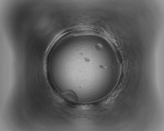 X0000116590103200912171601