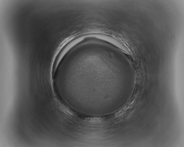 X0000116590104200912171601