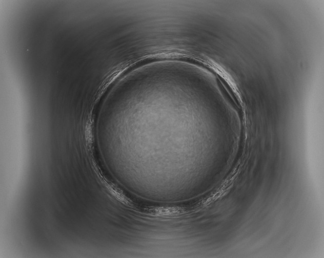 X0000116590105200912171601