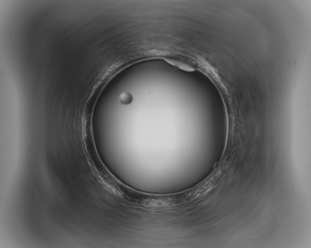 X0000116590106200912171601