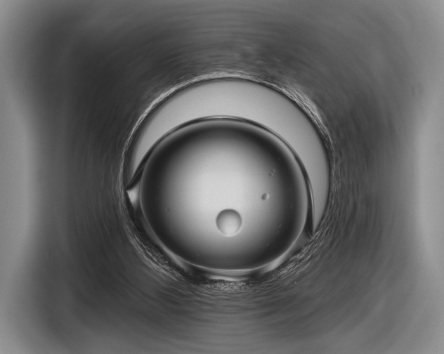 X0000116590108200912171601