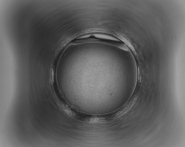 X0000116590109200912171601