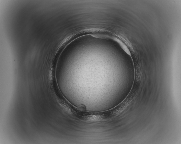 X0000116590111200912171601