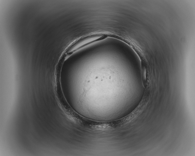 X0000116590112200912171601