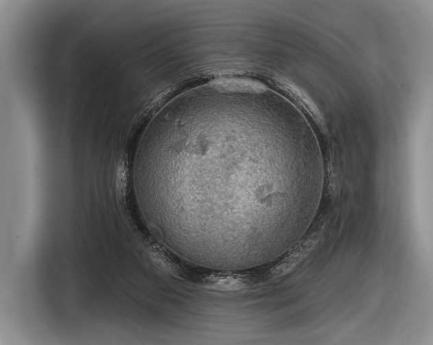 X0000116590113200912171601