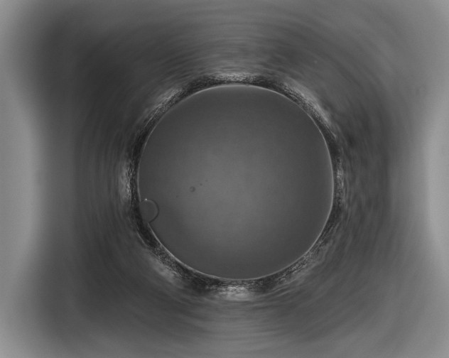 X0000116590114200912171601