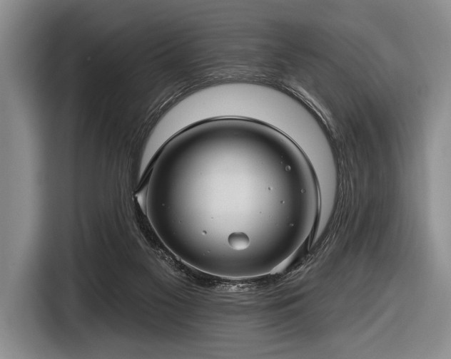 X0000116590117200912171601