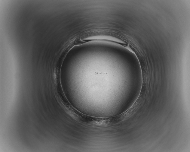 X0000116590120200912171601