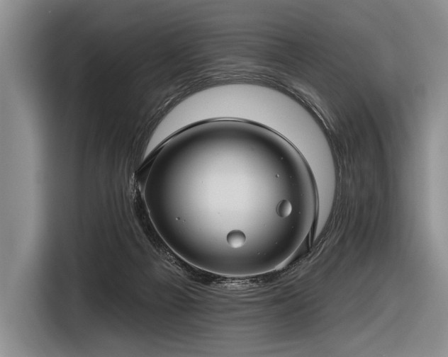 X0000116590121200912171601