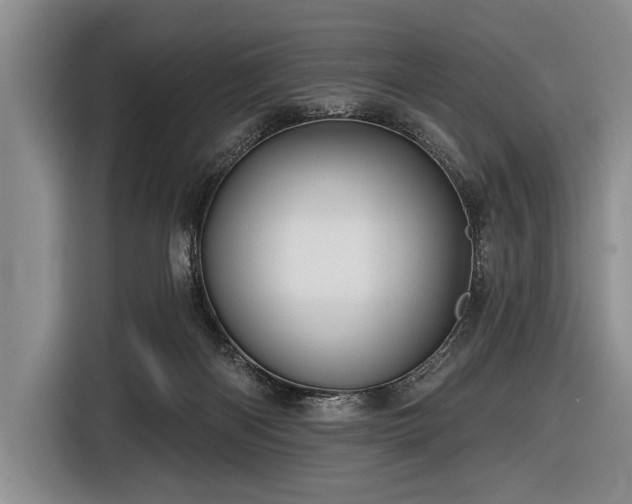 X0000116590122200912171601