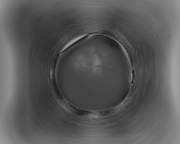 X0000116590124200912171601