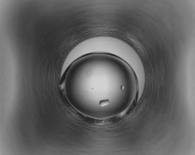 X0000116590125200912171601