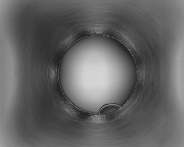 X0000116590126200912171601