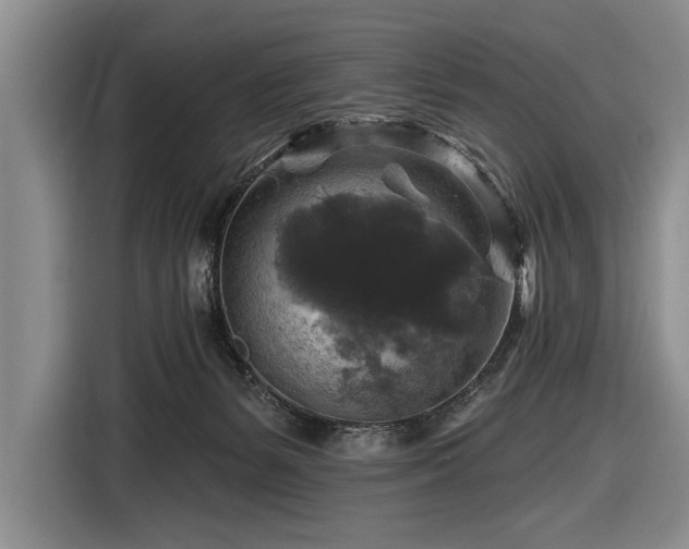 X0000116590127200912171601