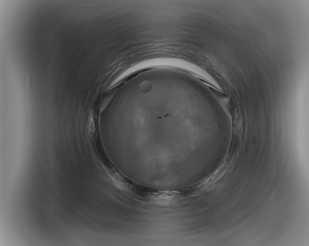 X0000116590128200912171601