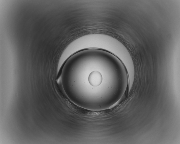 X0000116590129200912171601