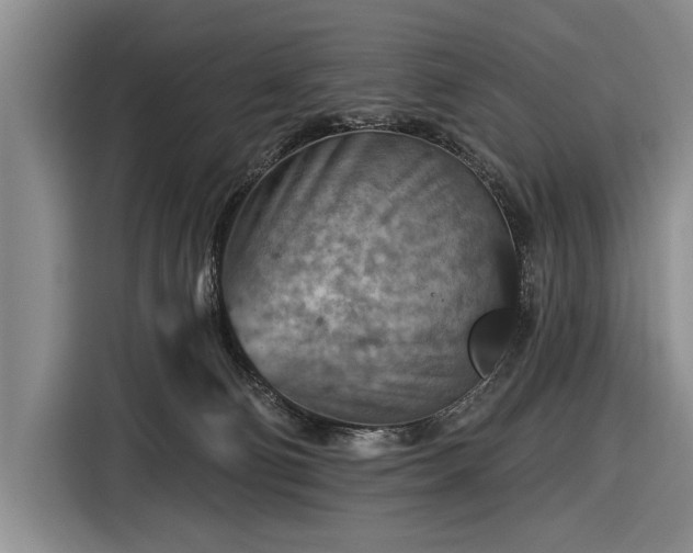 X0000116590130200912171601