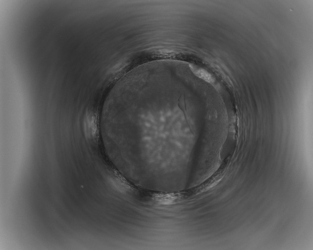 X0000116590131200912171601