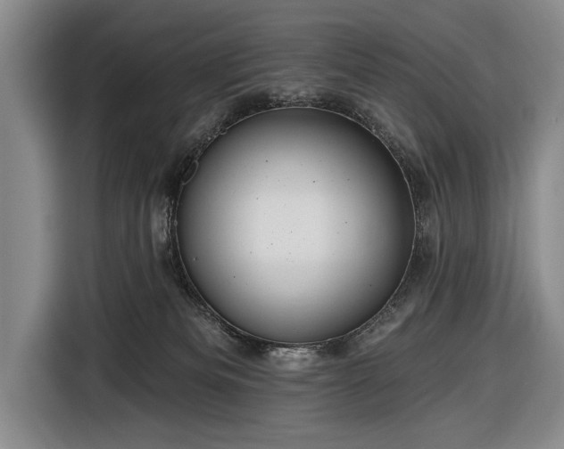 X0000116590133200912171601