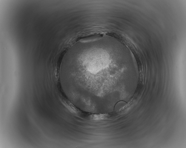 X0000116590134200912171601